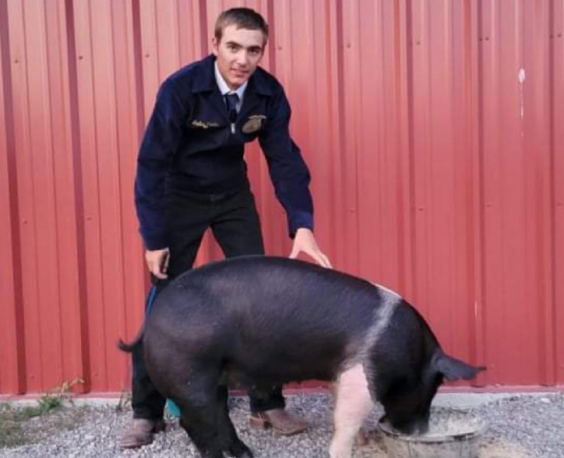 bradley-fields_hog_small bradley-fields_hog_small
