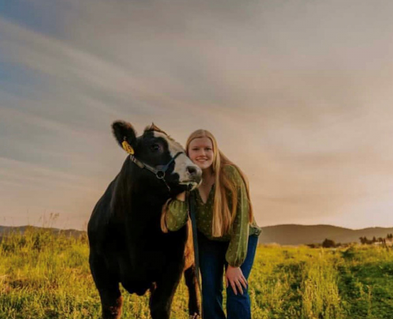 ella-rauch_steer_small ella-rauch_steer_small
